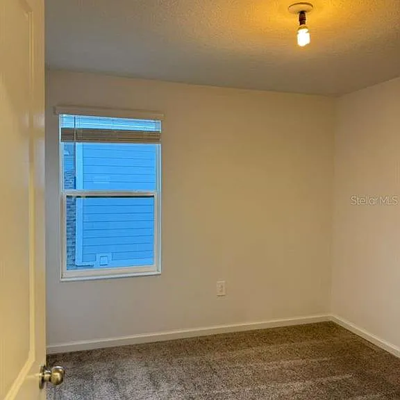 621 Sand Pine Ln — Photo 12