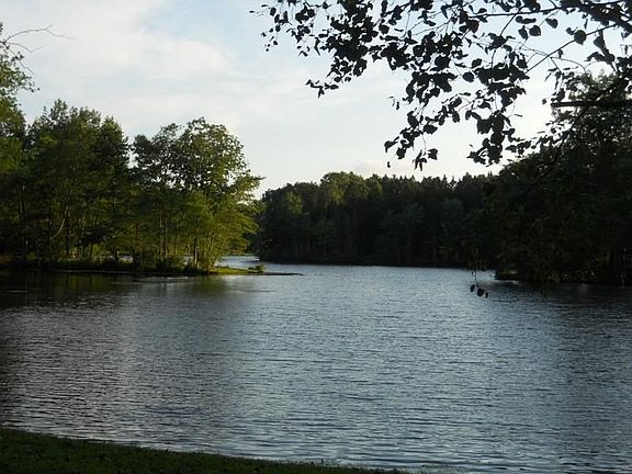 Woodlake Lake view