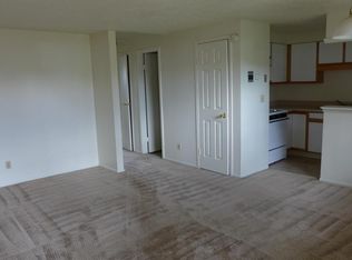 295 Marble St APT 101, Broomfield, CO 80020