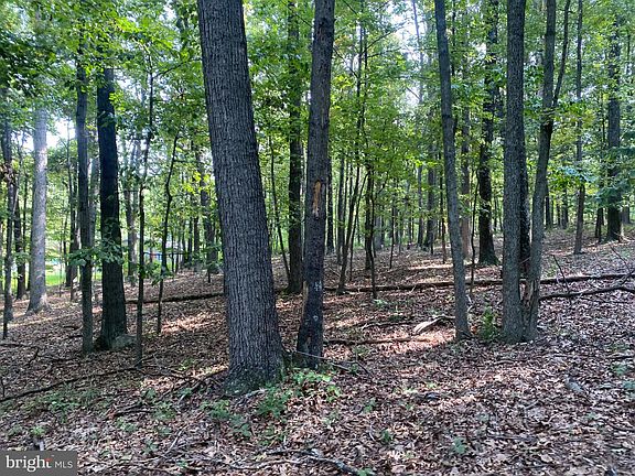 3rd image of 6376 Spring Gap Rd