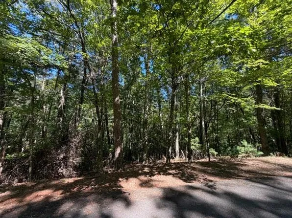 305 Seneca Dr #305, Ellijay, GA 30540