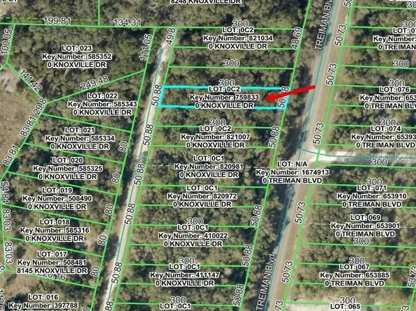 Knoxville Dr #C22, Webster, FL 33597