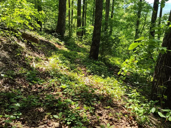 0 Hixson Rd, Dunlap, TN 37327