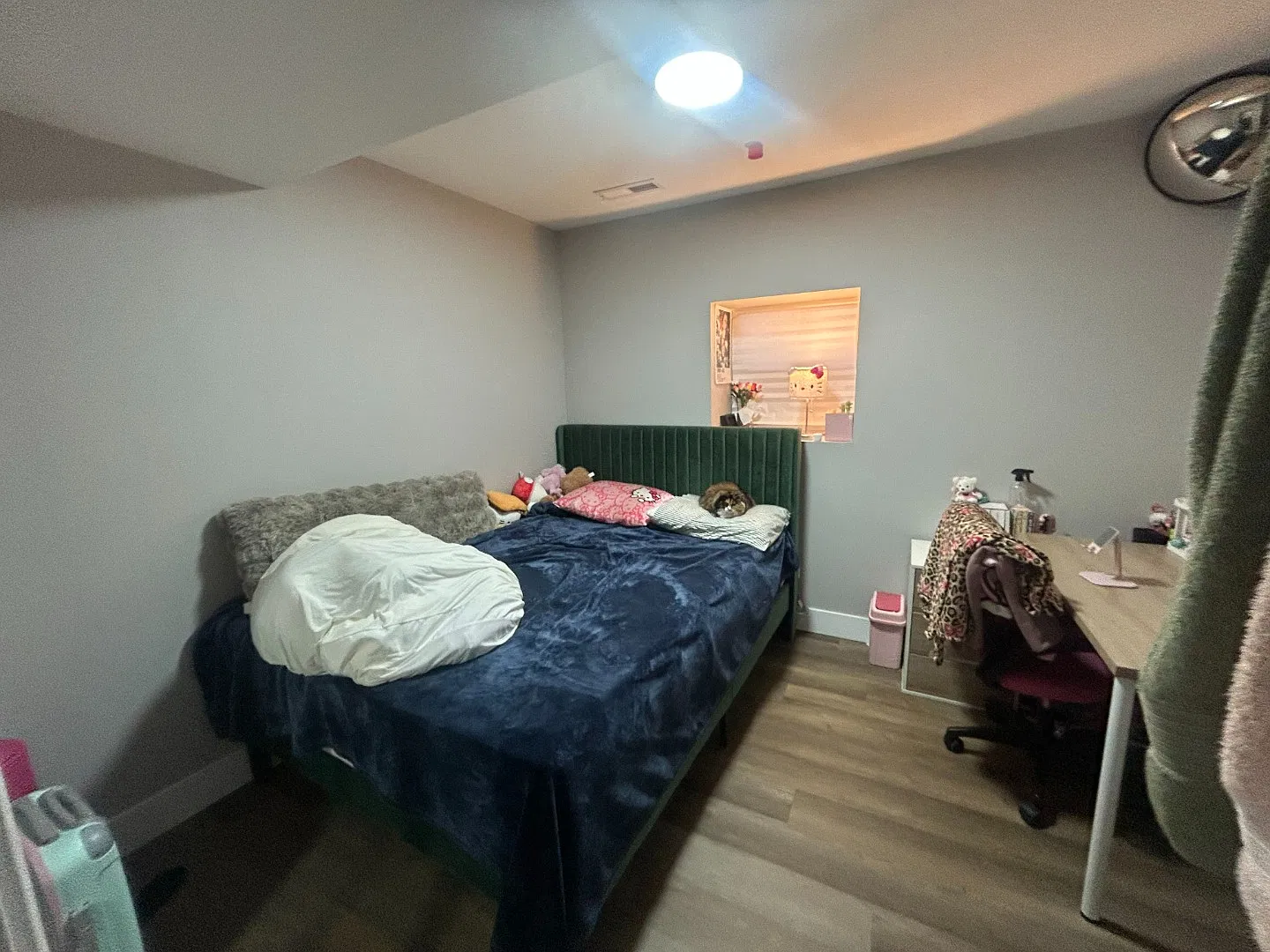 Updated 1bd/1bth Garden Unit ADU - Specific requirements! Avail 11/1 — Photo 4