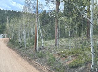 139 Obrien Rd, Bailey, CO 80421