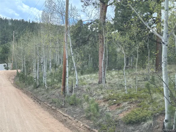 139 Obrien Road, Bailey, CO 80421