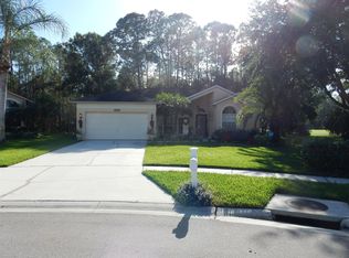 16002 Royal Aberdeen Pl, Odessa, FL 33556