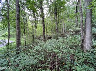 Hamby Rd, Sunbright, TN 37872