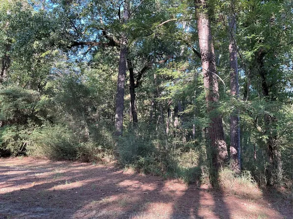0 Piping Rock Rock, Trinity, TX 75862