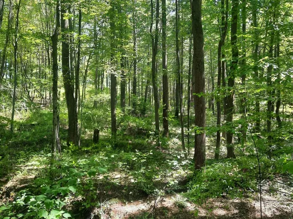 144 Evergreen Dr, Falls, PA 18615