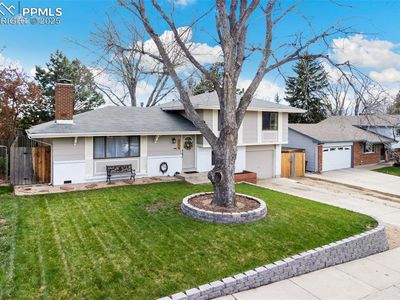 3555 Haven Cir, Colorado Springs, CO, 80917