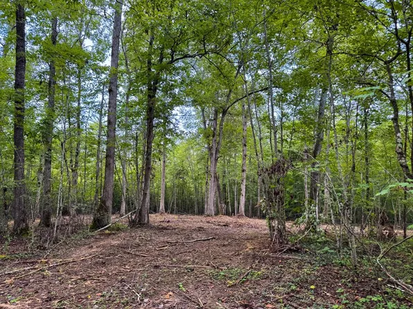 7 Sheep Ranch Rd, Robbins, TN 37852