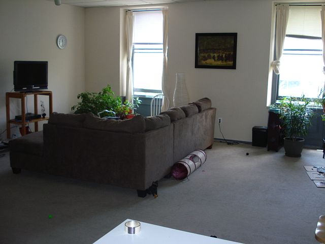 couch-1