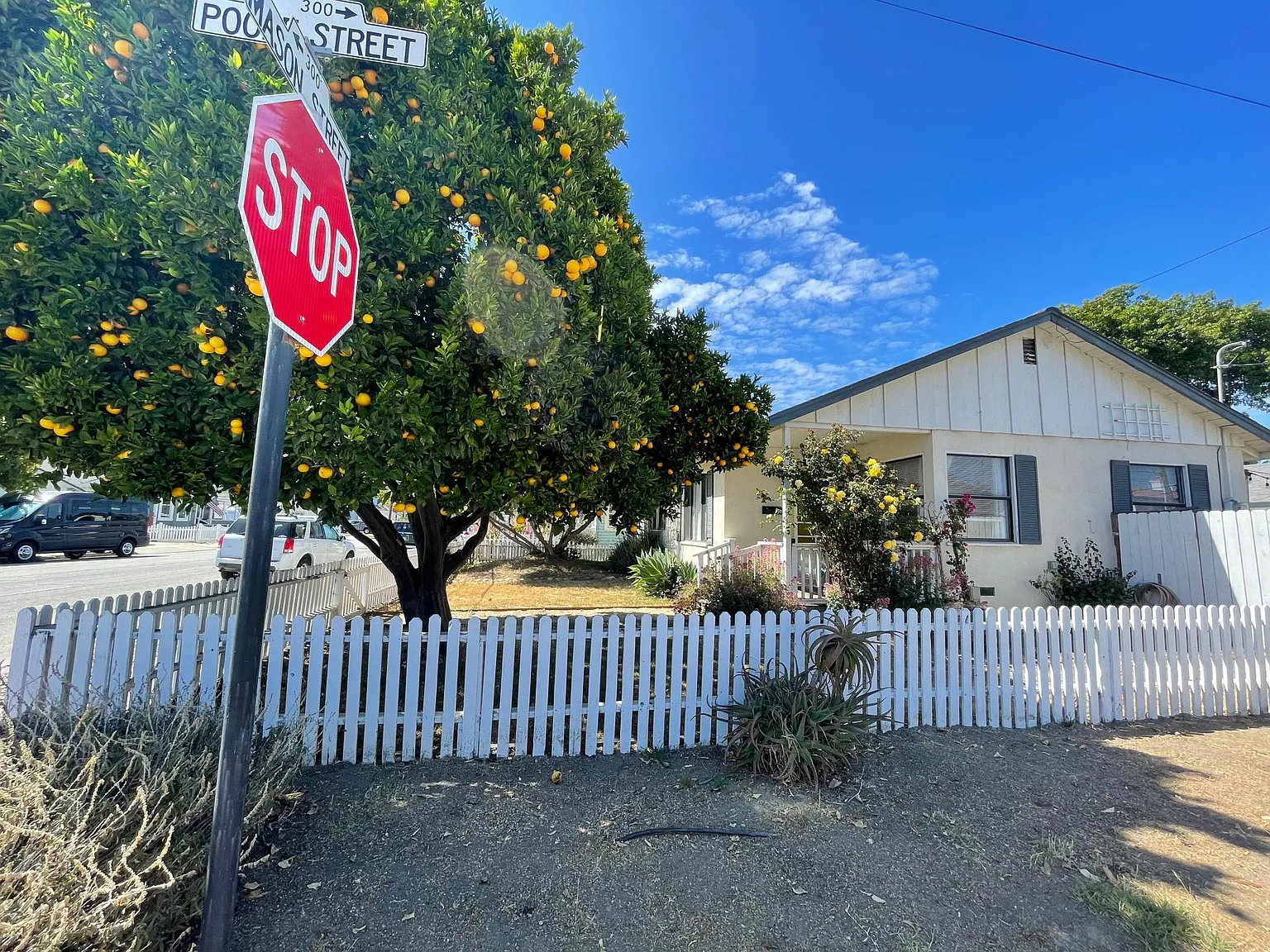 231 S Mason Street — Photo 2