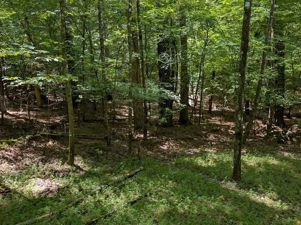 LOT-3079R Monocle Dr, Ellijay, GA 30540