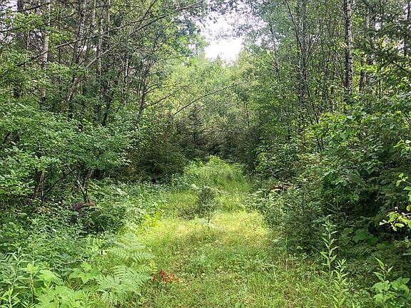 4th image of 4 River Forest Rd #N
