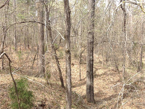 2nd image of 1226 Sweetwater Rd
