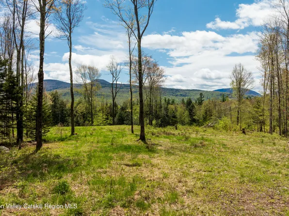 Tbd 1 Legg Road, Hunter, NY 12442