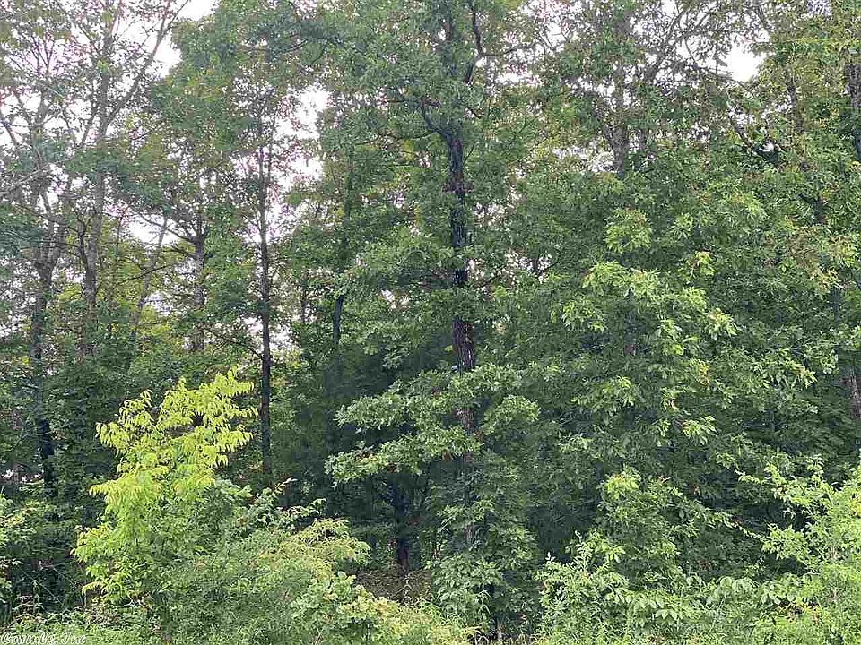 2nd image of 15443 Big Ridge Rd