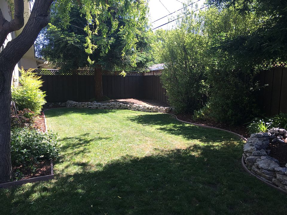 Lovely Cool backyard