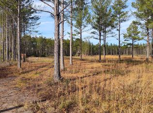 219 Bright Leaf Ln, Folkston, GA 31537