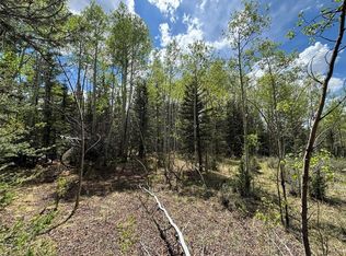 113 Ithaca Ln, Como, CO 80432