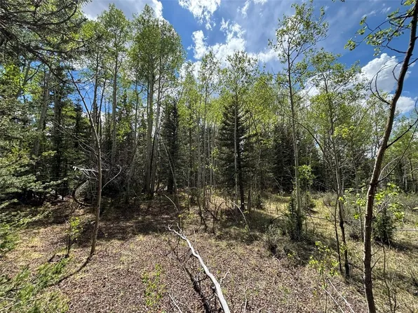 113 Ithaca Ln, Como, CO 80432