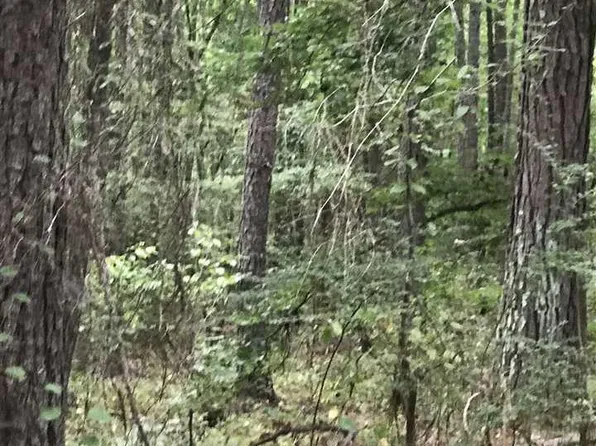 Lakeside Ln #40, Alpine, AL 35014