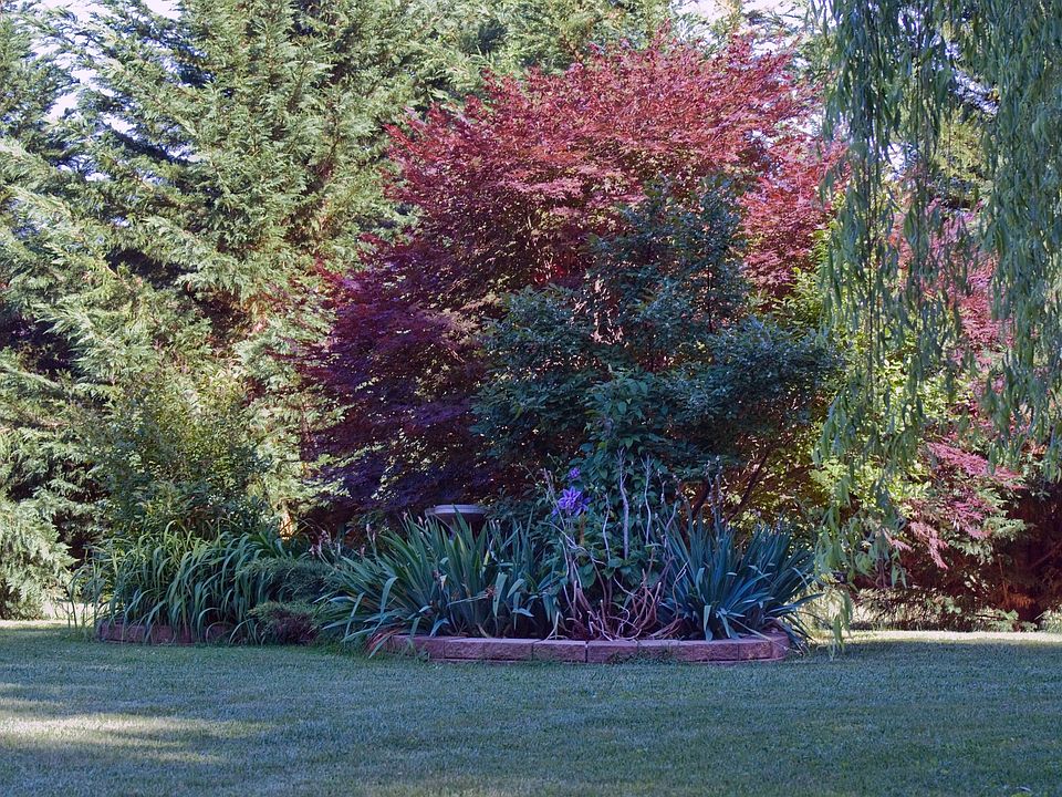 Front yard landscaping