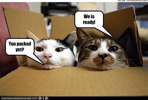 BRING YOUR FUR BABIES WITH YOU! WE ARE PET FRIENDLY!