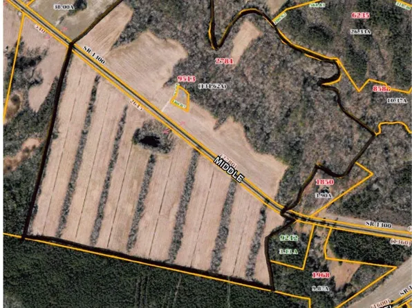 65 Ac Middle Road, Trenton, NC 28585