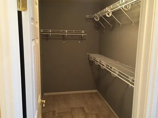 10619 Salmon Leap St — Photo 10