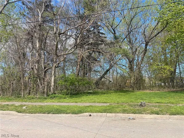 Pearl Ave, Lorain, OH 44055