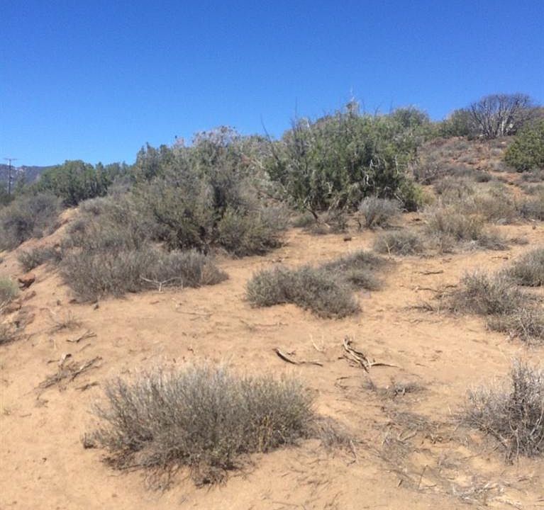 2nd image of 11805 Pasture Ave