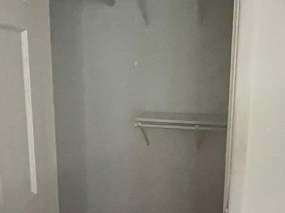 Large closet in primary bedroom