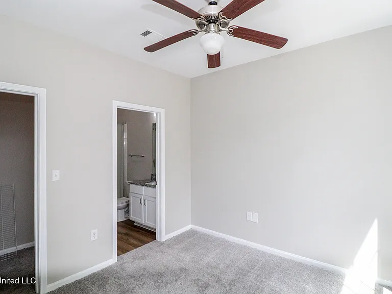473 Olive Branch Way — Photo 11