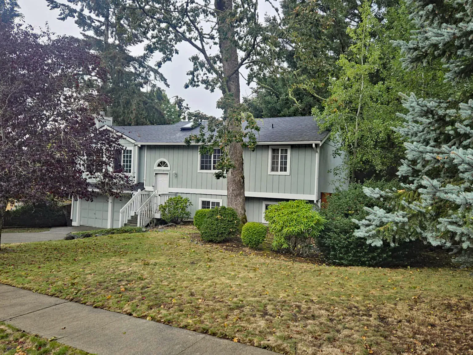4 bed, 2240 sqft, $3,800 — Photo 2