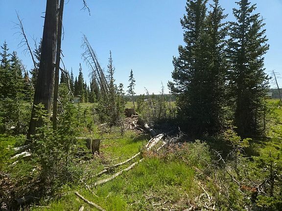 3rd image of 2397 E Rainbow Ln