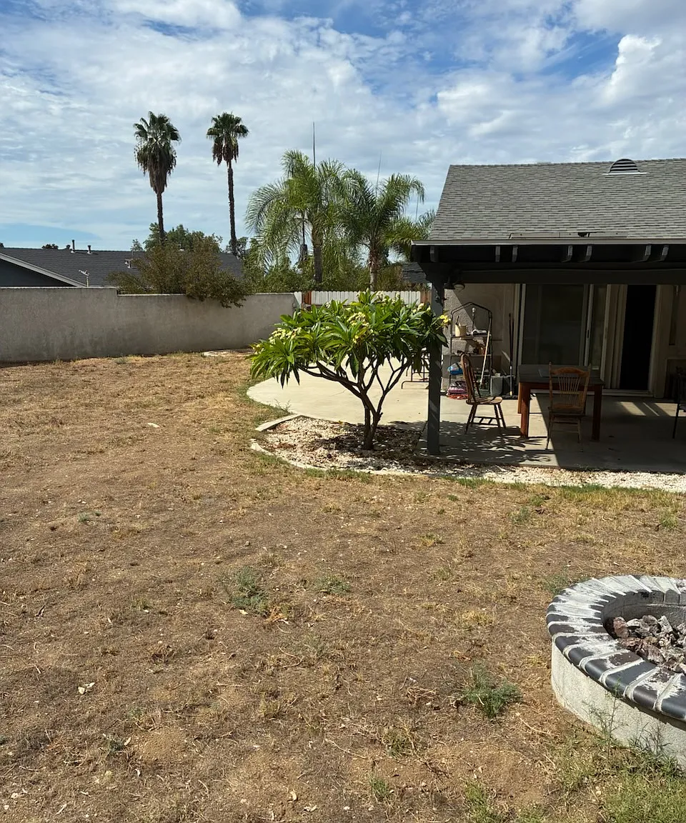 5 bed, 1723 sqft, $3,900 — Photo 4