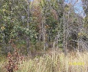 3rd image of 13765 Highway C