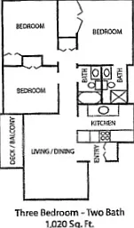 Suffolk Place Apartments — Photo 12