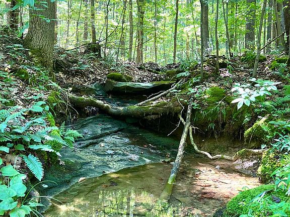 2nd image of 0 Chenoweth Fork Rd