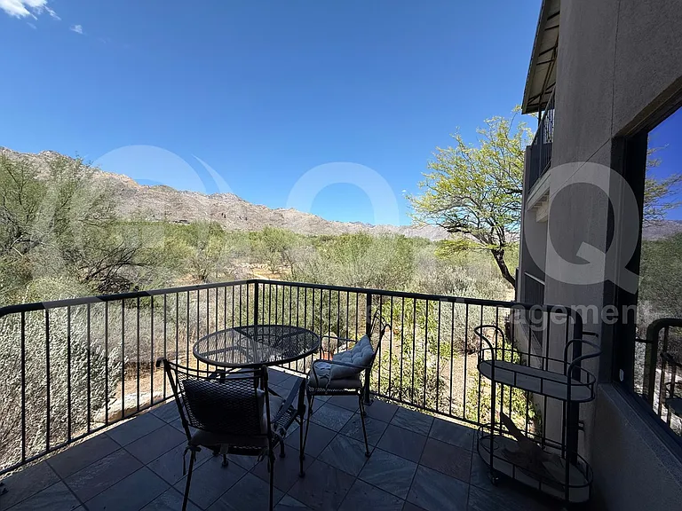 5800 N Kolb Rd #8143 — Photo 13