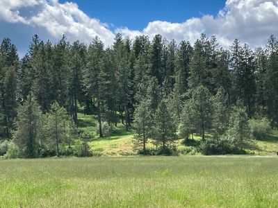 11611 E Black Rd, Chattaroy, WA, 99003
