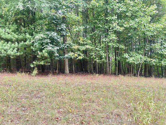 4th image of Wildwood Dr