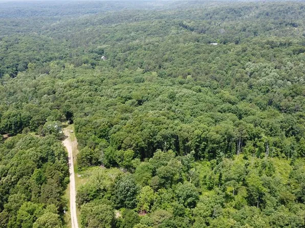 10282 Annette Ave, Potosi, MO 63664