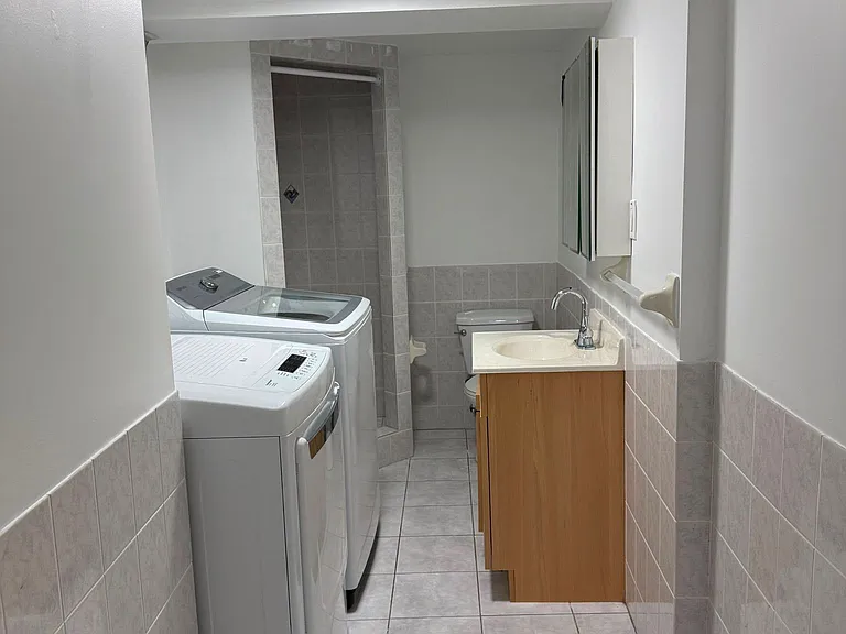 259 Tall Grass Trl #BASEMENT — Photo 11