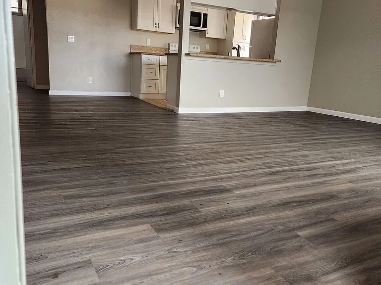 31932 Del Cielo Este — Photo 6