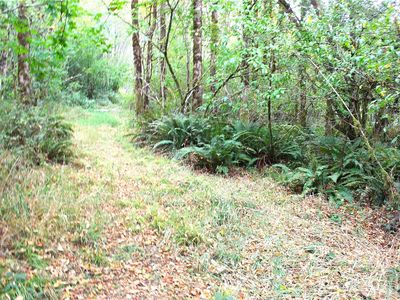 22 Western Lane, Oakville, WA, 98568