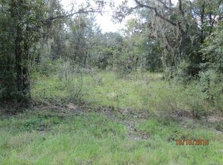 1666 E Sheridan Ln, Hernando, FL 34442